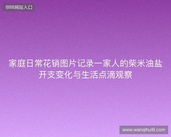 家庭日常花销图片记录一家人的柴米油盐开支变化与生活点滴观察